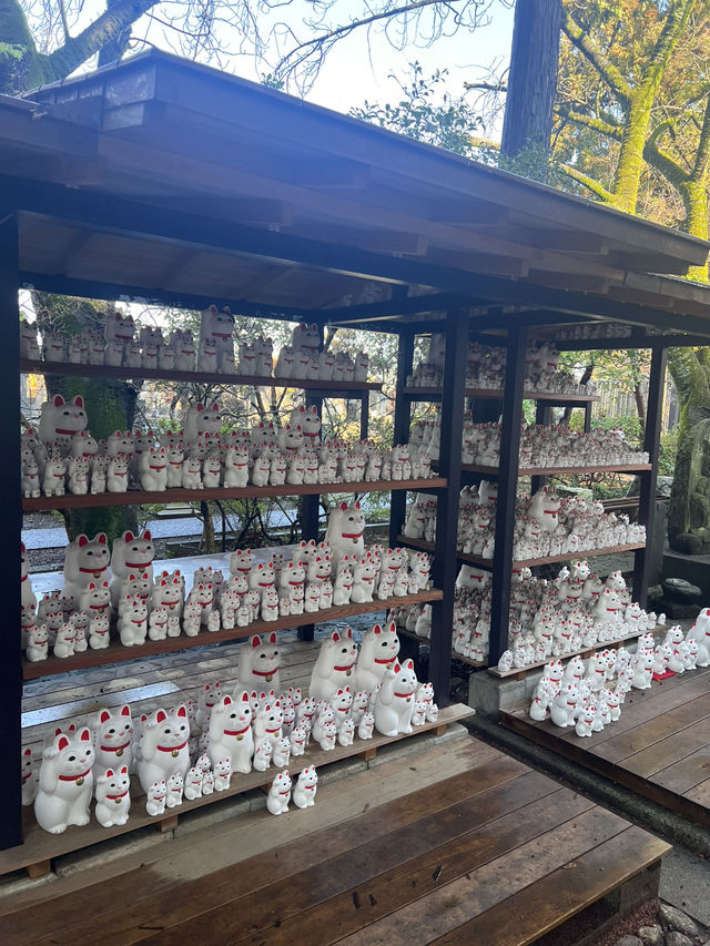 東京豪德寺 