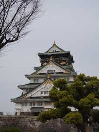【大阪×春旅】 桜の名所100選 公園全体を埋めつくす3000本の桜