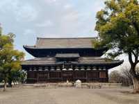 【東寺】世界遺産🌏