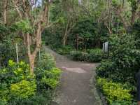 Bali's Cliffside Charm - Uluwatu Temple