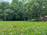 【羊蹄山で自然の美しさに包まれる絶景体験🏞️】