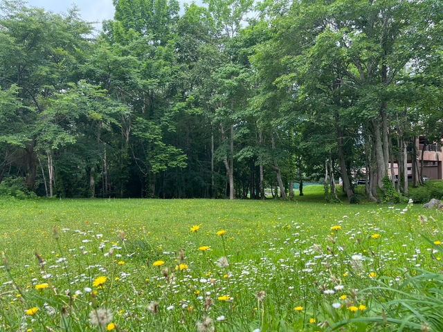 【羊蹄山で自然の美しさに包まれる絶景体験🏞️】