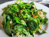 คาเฟ่เด็ด บ้านเพ อาหารสดอร่อย บรรยากาศร่มรื่น