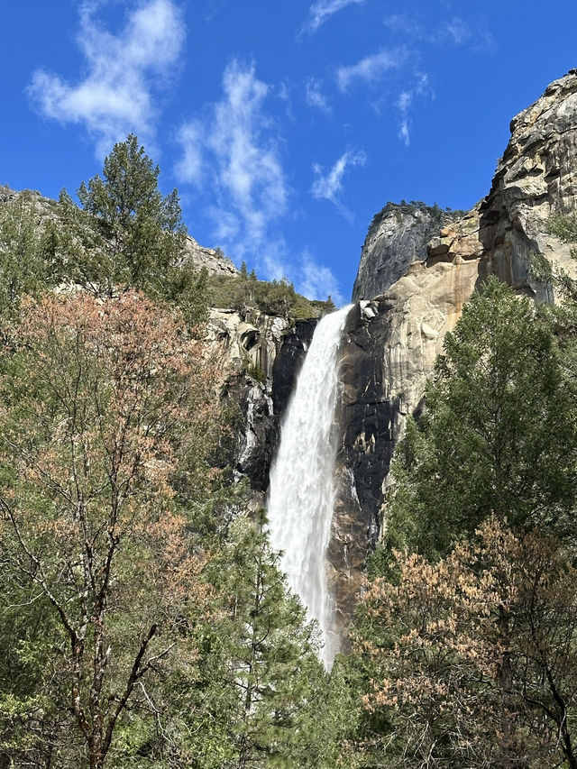 The most scenic national park in Spring!