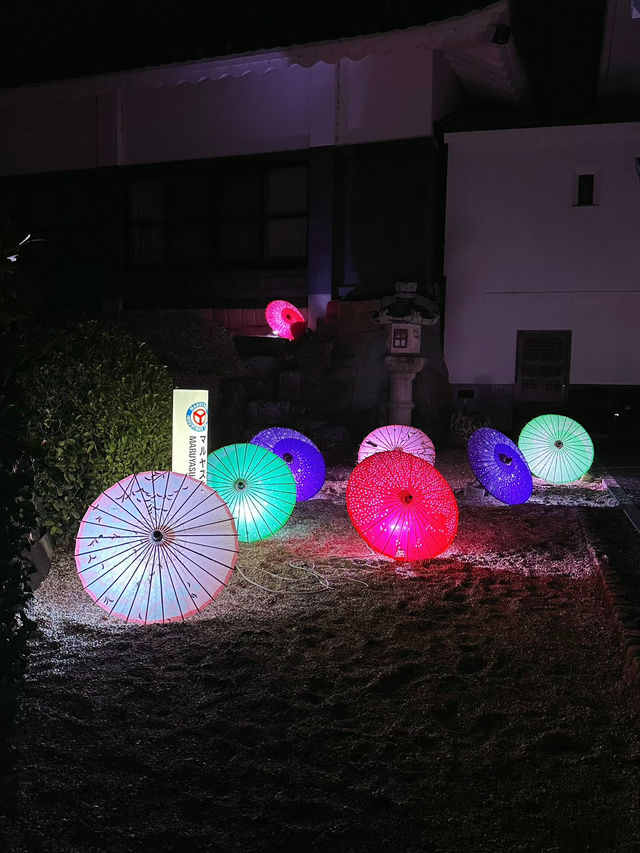 岡崎城の夜桜🌸