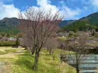 🌿京都・大原って、まるで自然の宝箱みたいな場所だった！🌸