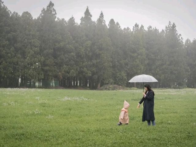 비내리는 제주