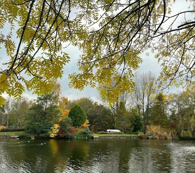 Alexandra Park