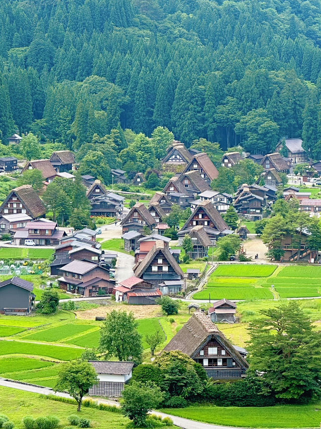 まるで昔話の世界！白川郷で四季の絶景タイムスリップ体験