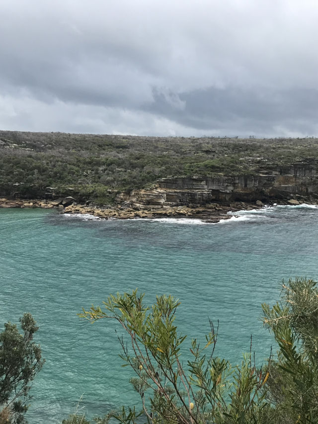 Wattamolla Wonders: A Hidden Slice of Paradise
