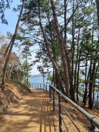 바다가 보이는 힐링 산책 명소, 씨릉섬🏝