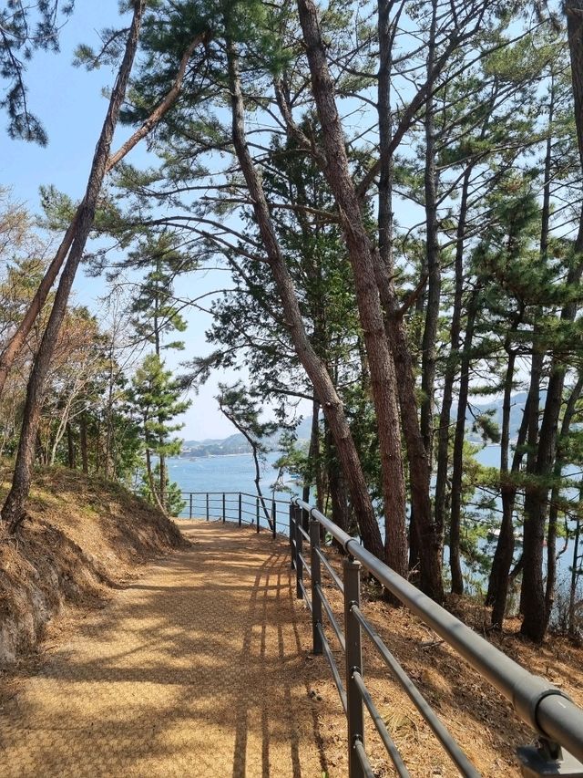 바다가 보이는 힐링 산책 명소, 씨릉섬🏝