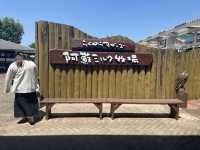 【日本🇯🇵】阿蘇ミルク牧場