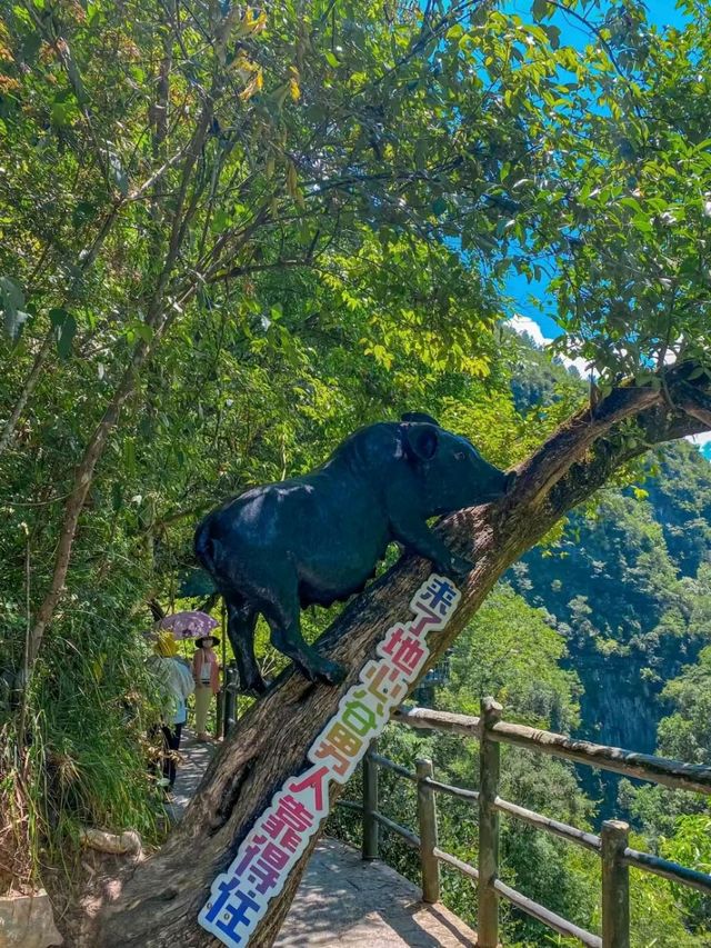 Enshi Dixin Valley: A Hidden Paradise of Nature's Wonders