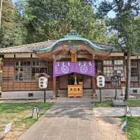 桃園｜桃園忠烈祠暨神社，一秒飛日本的秘境景點