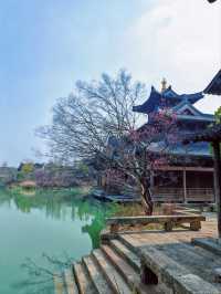 Puyuan Ancient Town – A Hidden Gem of Jiangnan Water Town Charm