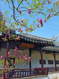 Suzhou Qu Yuan– The Humble Retreat of a Literary Giant