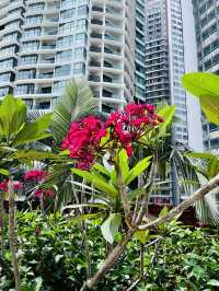 “Eco Escape: Four Points KL’s Sustainable Oasis”