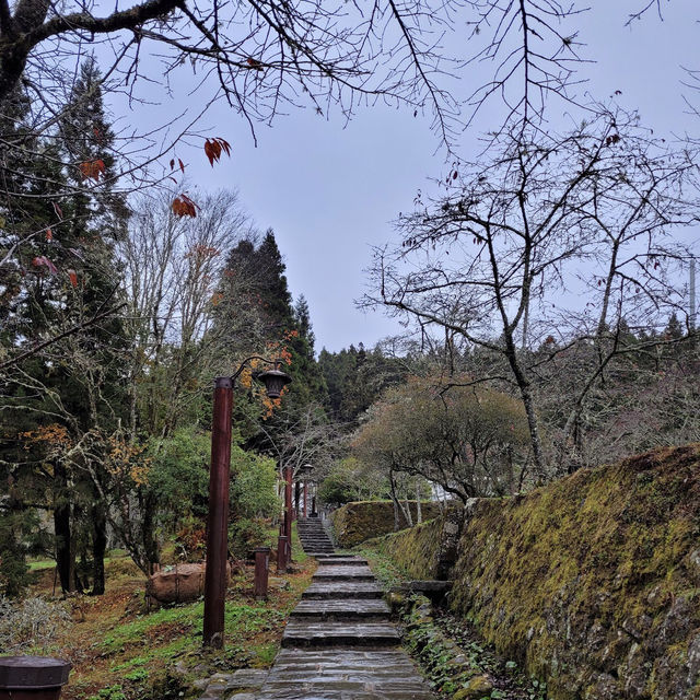 阿里山國家森林遊樂區 Alishan Forest Recreation Area