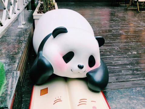 🇨🇳:成都 パンダ愛が詰まった癒し空間へ！ | Trip.com 成都