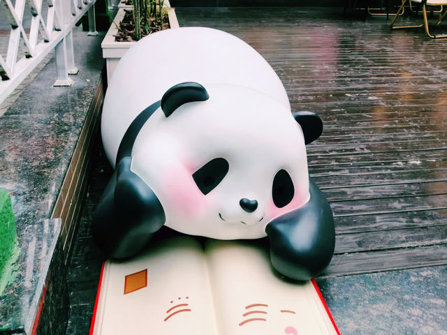 🇨🇳:成都 パンダ愛が詰まった癒し空間へ！