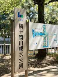 Spring Fun at Yokojukken-gawa Shinsui Park