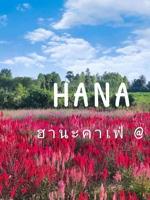 ☕️ร้านกาแฟดอกไม้เมืองหนาว🌸🌸 สไตล์ญี่ปุ่น🎎