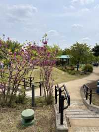 Hidden Spring Gem in the City: Meguro Sky Garden