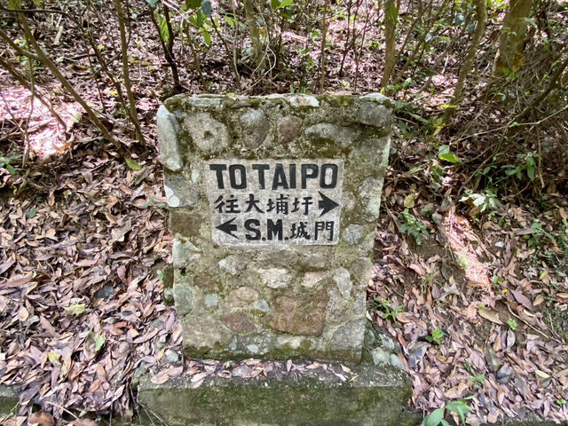 闖蕩漫步大埔滘✨🚶🏼 香港行山好去處✨