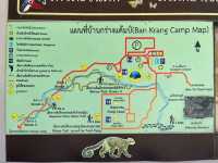 ชมผีเสื้อนานาชนิด ที่ แคมป์บ้านกร่าง แก่งกระจาน
