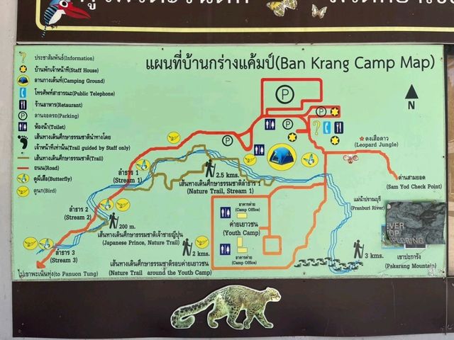 ชมผีเสื้อนานาชนิด ที่ แคมป์บ้านกร่าง แก่งกระจาน