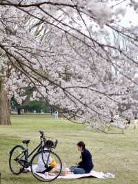 Inokashira Natural and Cultural Park