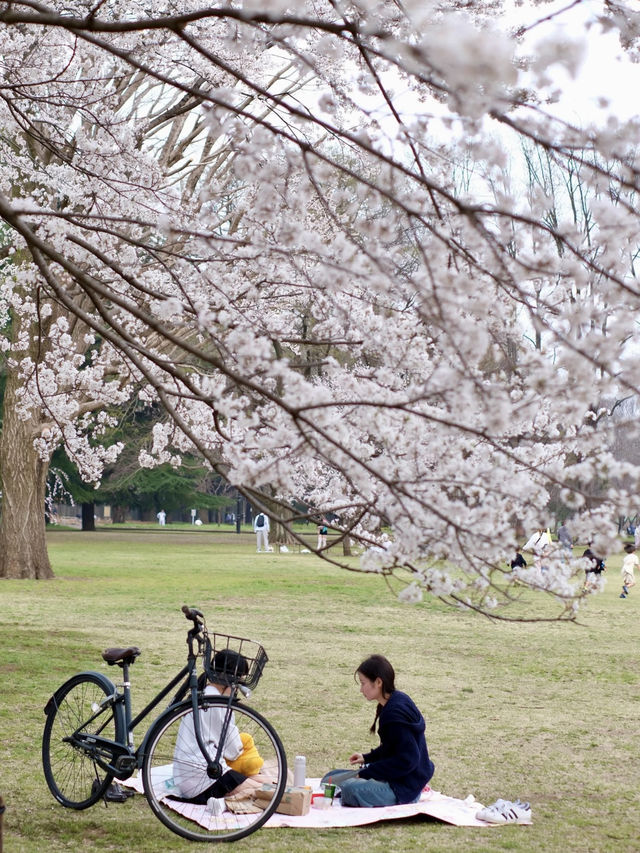 Inokashira Natural and Cultural Park