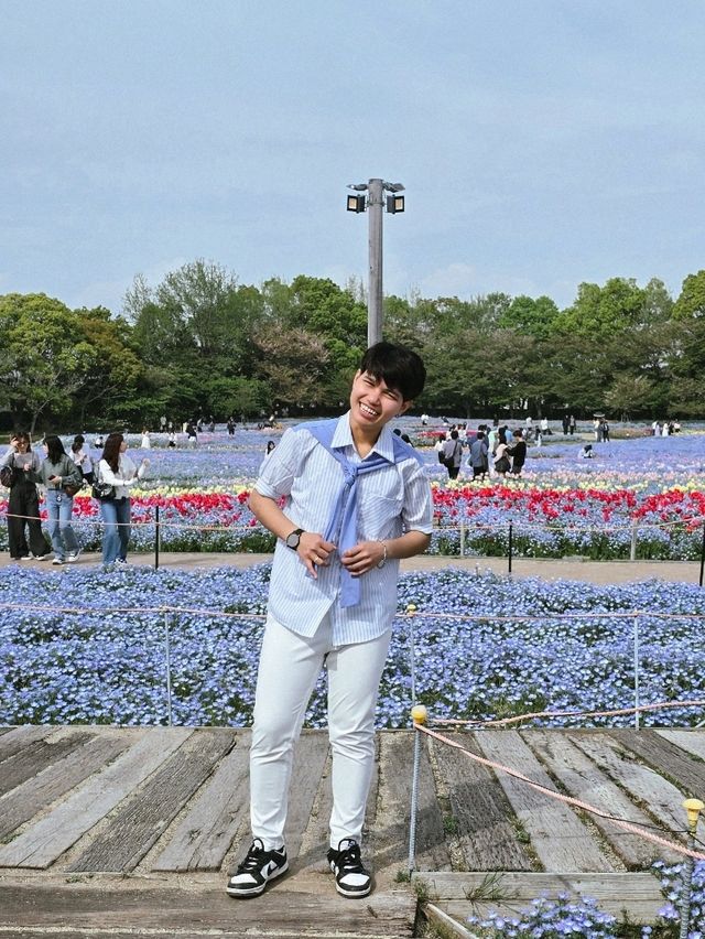 เที่ยวทุ่งดอกไม้ นะบะนะ โนะ ซาโตะ🌷🪻