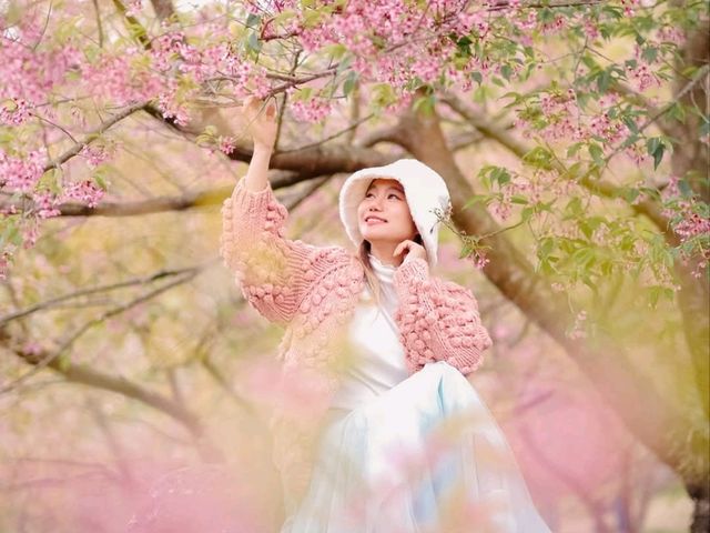 สวนลุงเปา ขุนวาง เชียงใหม่
