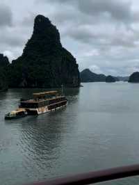 🚣‍♂️🌿 Into the Wild: My Adventure Cruise in Halong Bay! 🌿🚣‍♂️
