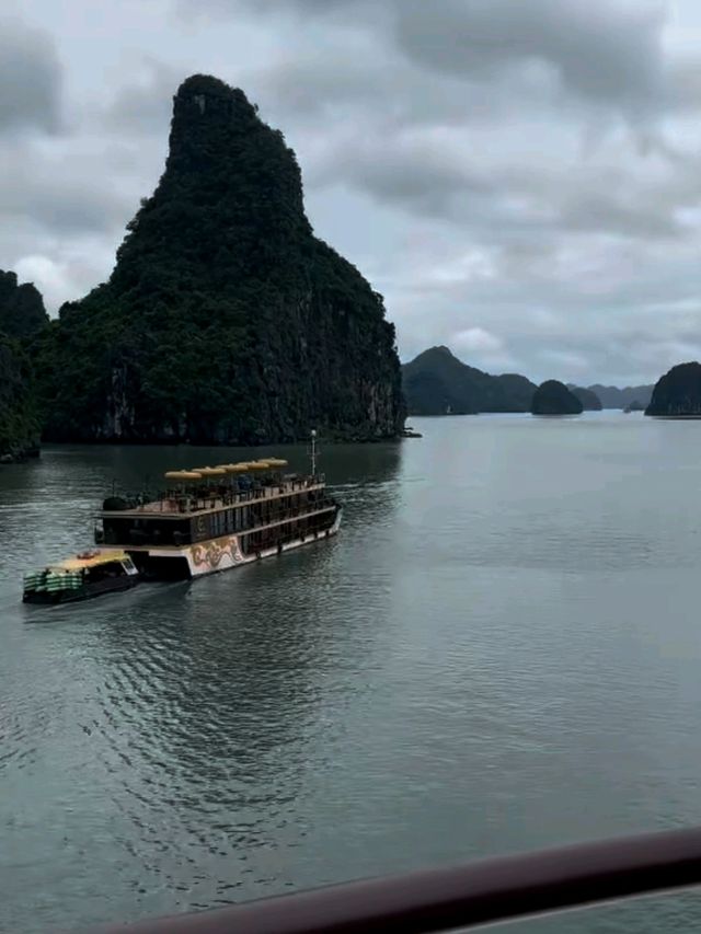 🚣‍♂️🌿 Into the Wild: My Adventure Cruise in Halong Bay! 🌿🚣‍♂️