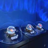 X Park Aquarium 
