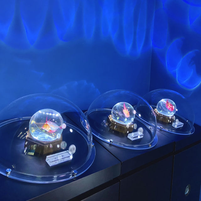 X Park Aquarium 