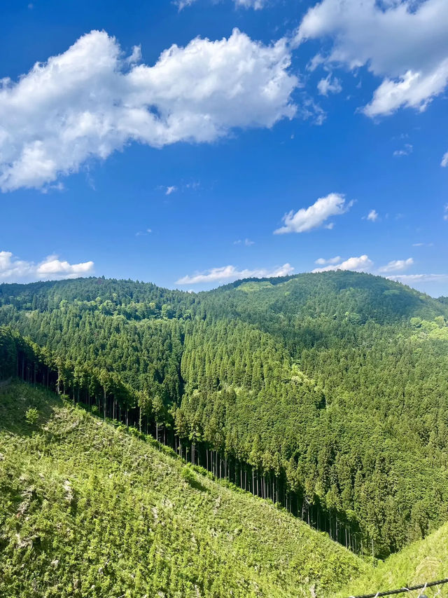 【高尾山】都心から電車で行ける高尾山⛰️