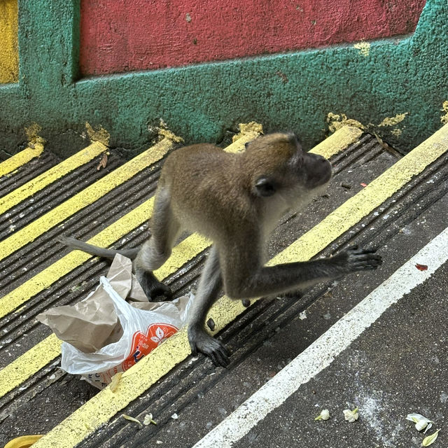 黑風洞（Batu Caves）
