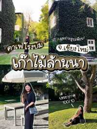 🌳 คาเฟ่โรงบ่ม-เก๊าไม้ ล้านนา เชียงใหม่วิวสวย✨☕️