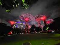 A Walk Through the Future: Exploring Gardens by the Bay, Singapore
