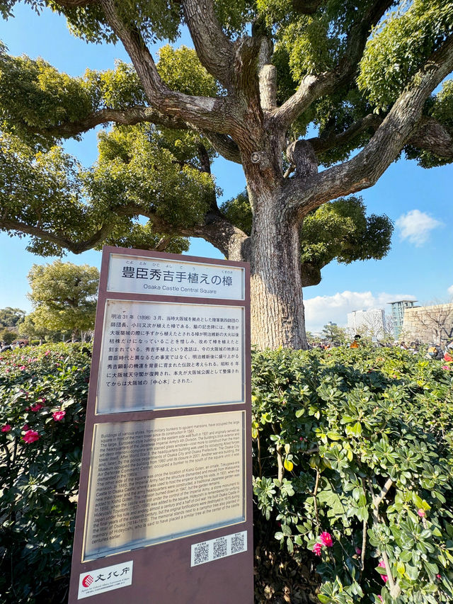 大阪交通攻略｜地鐵中央線