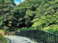 Kameiwa Cave อุโมงค์คะเมะอิวะ 
