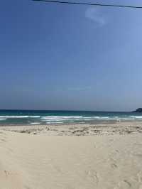 伊豆白浜へサーフトリップ🏄‍♀️