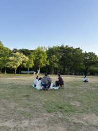 요즘 같이 푸릇푸릇한 날 가족 나들이하기 좋은 서울숲🌳