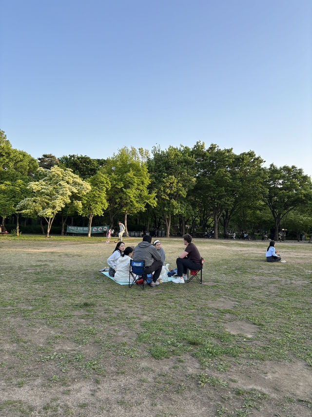 요즘 같이 푸릇푸릇한 날 가족 나들이하기 좋은 서울숲🌳