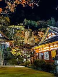 Tanzan shrine 