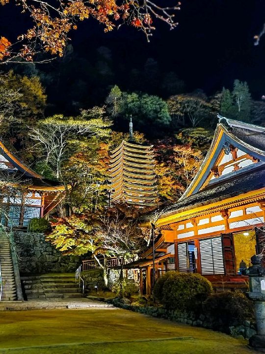 Tanzan shrine 